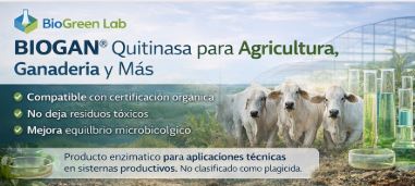 Bio-Green Lab — Plataforma biotecnológica B2B