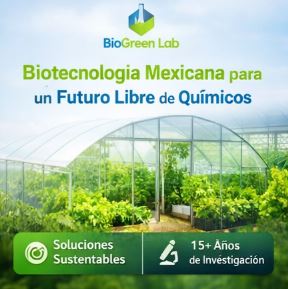 Bio-Green Lab — I+D en biocatálisis enzimática