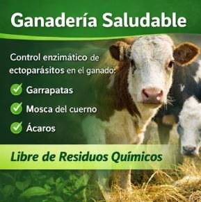 Ganadería Saludable – Bio Green Labs