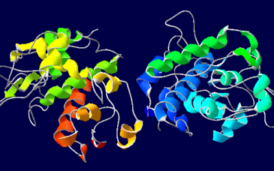 Quitinasas: Avances Actuales y Futuras Perspectivas en la Biología Macromolecular