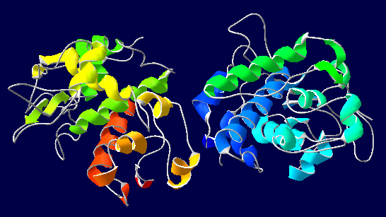 Quitinasas: Avances Actuales y Futuras Perspectivas en la Biología Macromolecular